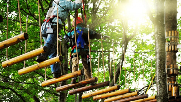 Kanzleiausflug Kletterpark